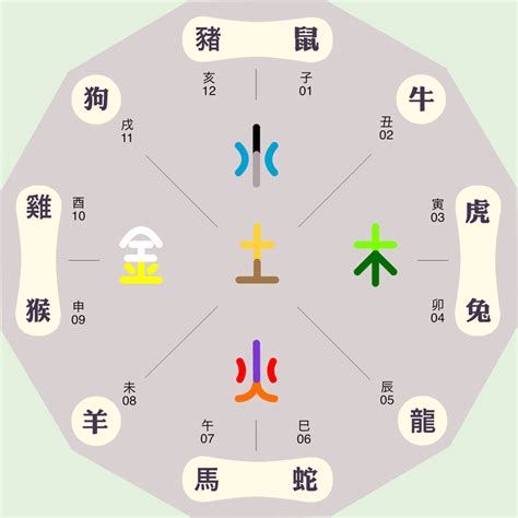 倫字五行|伦字的五行属性